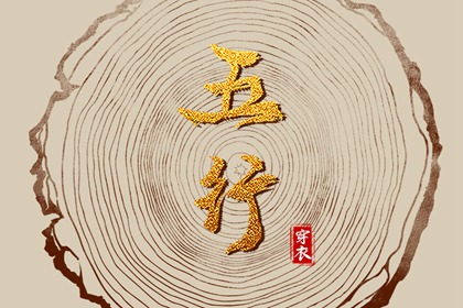 命格排盘,八字华盖将星,手机八字排盘,八字分析解读,推算八字算命